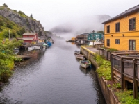 Quidi Vidi, Nowa Fundlandia